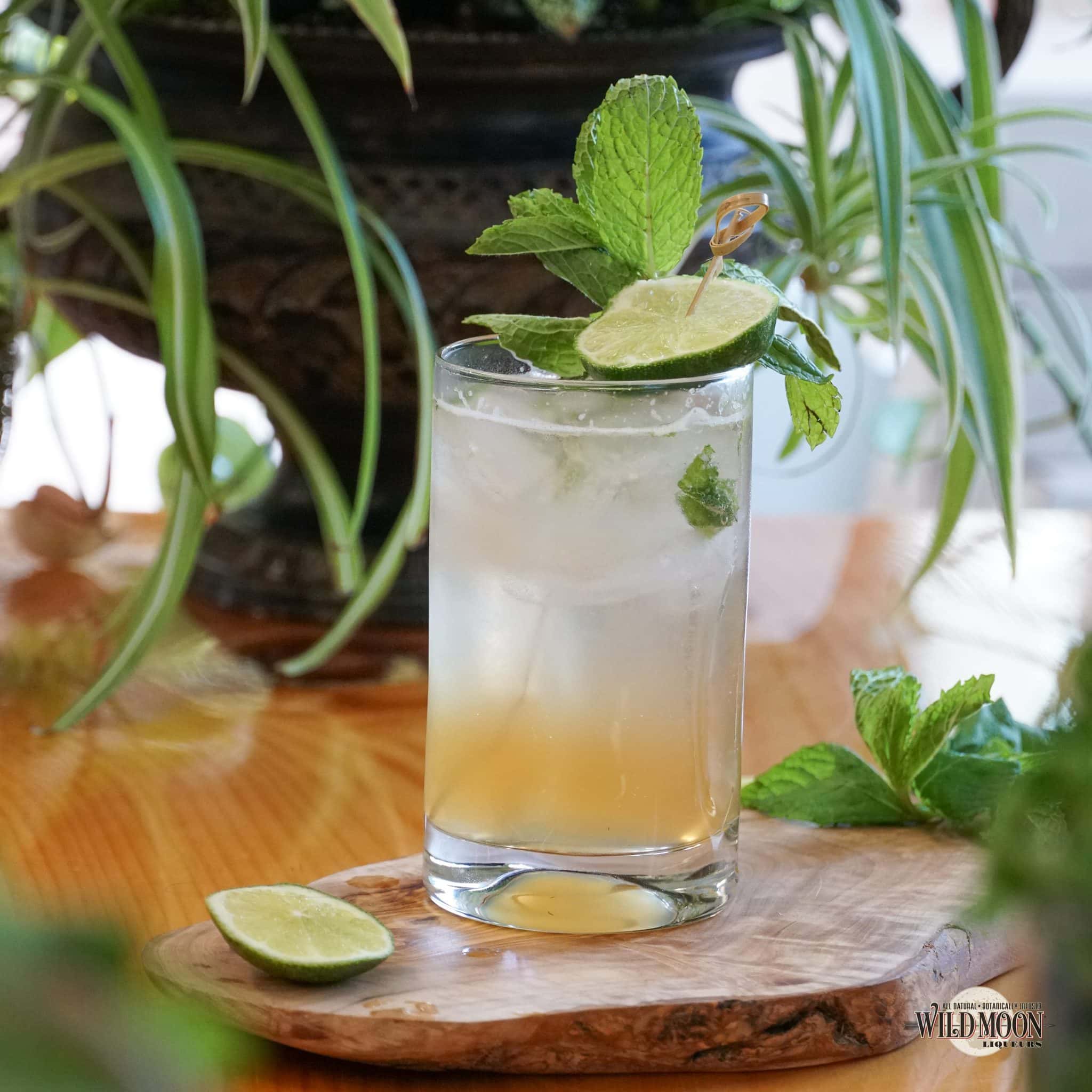 Birch Mojito | Birch | Wild Moon | Hartford Flavor